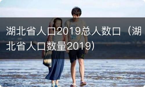 湖北省人口2019总人数口（湖北省人口数量2019）