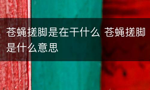 苍蝇搓脚是在干什么 苍蝇搓脚是什么意思