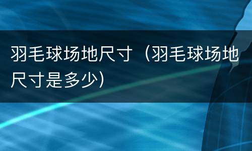 羽毛球场地尺寸（羽毛球场地尺寸是多少）