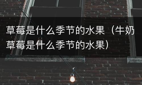 草莓是什么季节的水果（牛奶草莓是什么季节的水果）