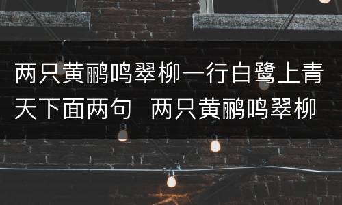 两只黄鹂鸣翠柳一行白鹭上青天下面两句  两只黄鹂鸣翠柳一行白鹭上青天下面两句是什么