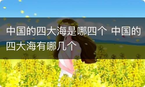 中国的四大海是哪四个 中国的四大海有哪几个