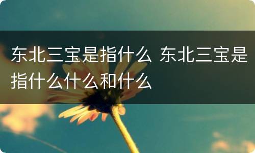 东北三宝是指什么 东北三宝是指什么什么和什么