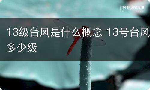 13级台风是什么概念 13号台风多少级