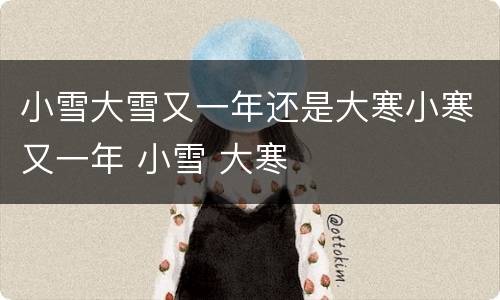 小雪大雪又一年还是大寒小寒又一年 小雪 大寒