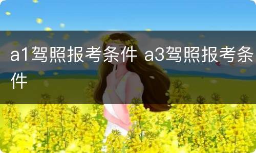a1驾照报考条件 a3驾照报考条件