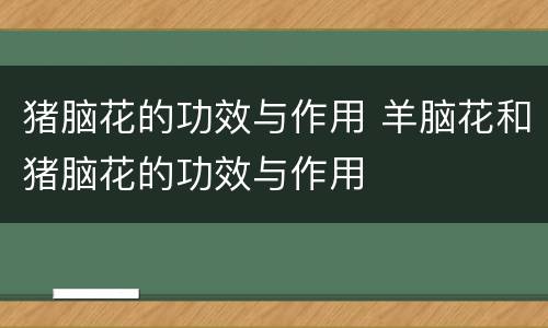猪脑花的功效与作用 羊脑花和猪脑花的功效与作用