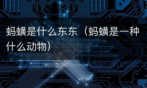 蚂蟥是什么东东（蚂蟥是一种什么动物）