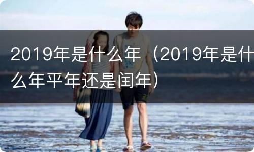 2019年是什么年（2019年是什么年平年还是闰年）