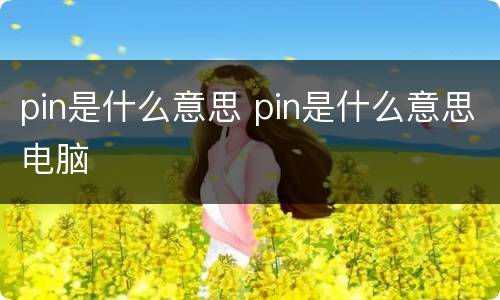 pin是什么意思 pin是什么意思电脑