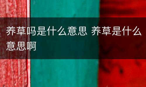 养草吗是什么意思 养草是什么意思啊