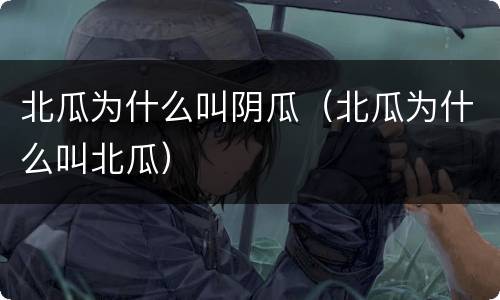北瓜为什么叫阴瓜（北瓜为什么叫北瓜）
