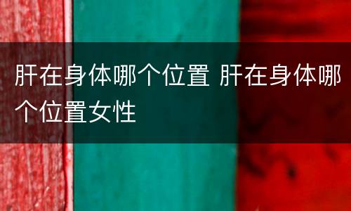 肝在身体哪个位置 肝在身体哪个位置女性
