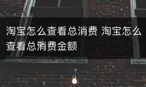 淘宝怎么查看总消费 淘宝怎么查看总消费金额