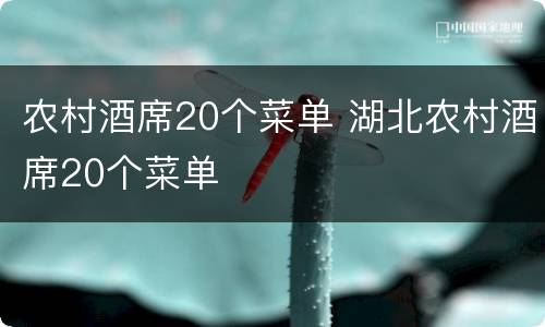 农村酒席20个菜单 湖北农村酒席20个菜单