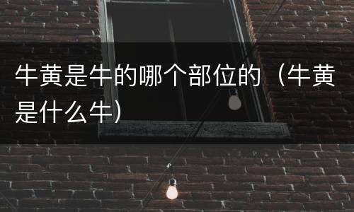 牛黄是牛的哪个部位的（牛黄是什么牛）