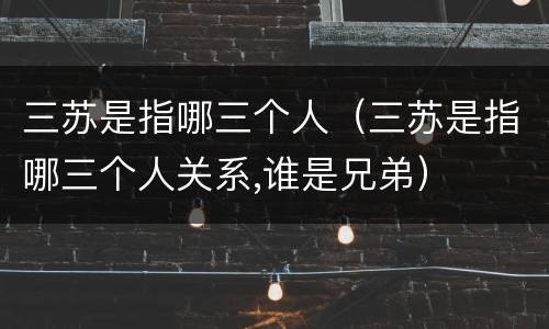 三苏是指哪三个人（三苏是指哪三个人关系,谁是兄弟）