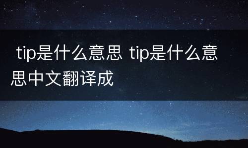  tip是什么意思 tip是什么意思中文翻译成