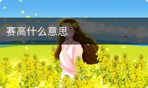 赛高什么意思