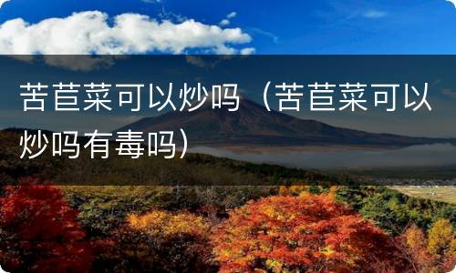 苦苣菜可以炒吗（苦苣菜可以炒吗有毒吗）