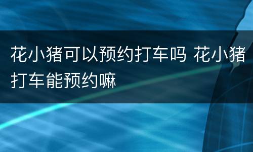 花小猪可以预约打车吗 花小猪打车能预约嘛