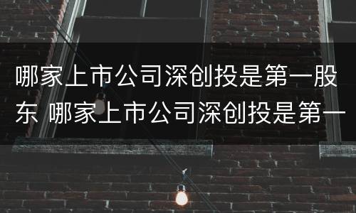 哪家上市公司深创投是第一股东 哪家上市公司深创投是第一股东控股