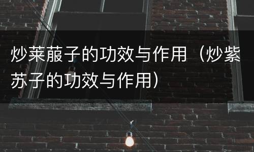 炒莱菔子的功效与作用（炒紫苏子的功效与作用）