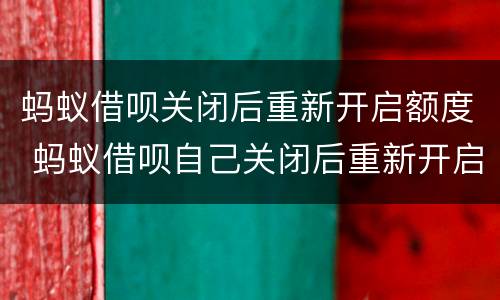 蚂蚁借呗关闭后重新开启额度 蚂蚁借呗自己关闭后重新开启额度