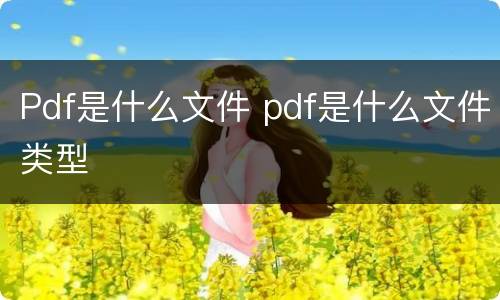 Pdf是什么文件 pdf是什么文件类型