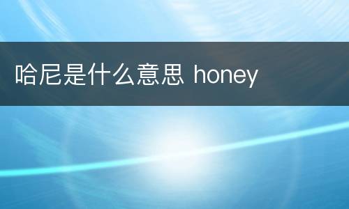 哈尼是什么意思 honey