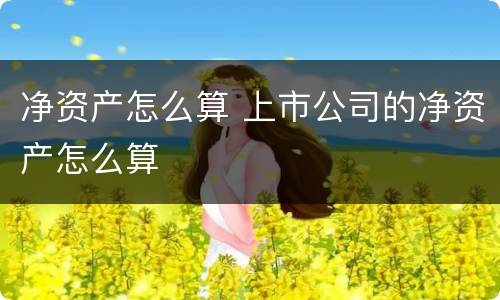 净资产怎么算 上市公司的净资产怎么算
