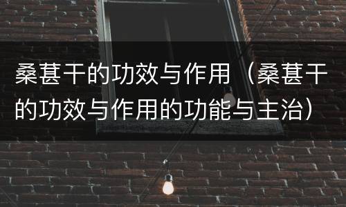 桑葚干的功效与作用（桑葚干的功效与作用的功能与主治）