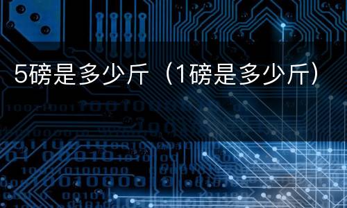 5磅是多少斤（1磅是多少斤）