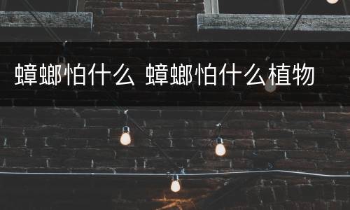 蟑螂怕什么 蟑螂怕什么植物