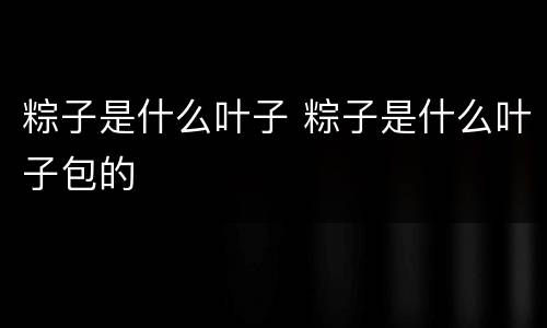 粽子是什么叶子 粽子是什么叶子包的
