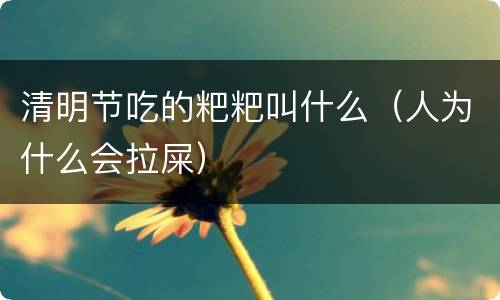 清明节吃的粑粑叫什么（人为什么会拉屎）