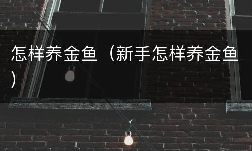 怎样养金鱼（新手怎样养金鱼）