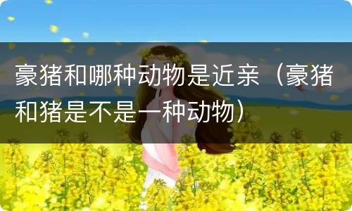 豪猪和哪种动物是近亲（豪猪和猪是不是一种动物）