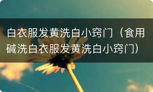白衣服发黄洗白小窍门（食用碱洗白衣服发黄洗白小窍门）