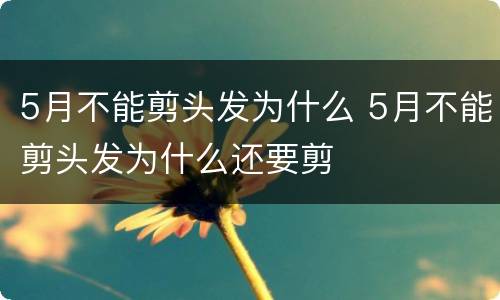 5月不能剪头发为什么 5月不能剪头发为什么还要剪