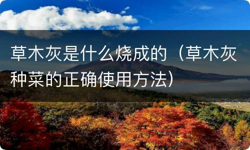 草木灰是什么烧成的（草木灰种菜的正确使用方法）