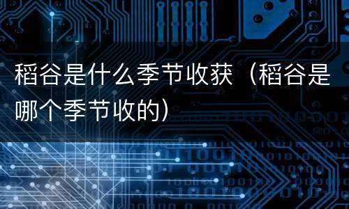 稻谷是什么季节收获（稻谷是哪个季节收的）