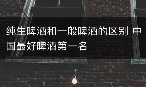 纯生啤酒和一般啤酒的区别 中国最好啤酒第一名