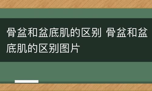骨盆和盆底肌的区别 骨盆和盆底肌的区别图片