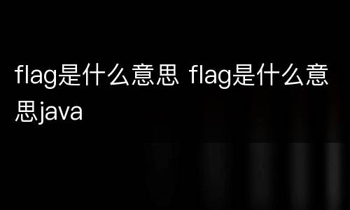 flag是什么意思 flag是什么意思java