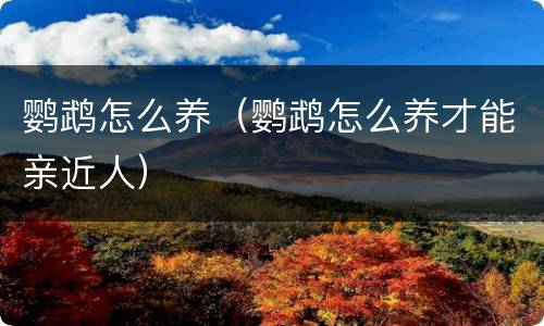 鹦鹉怎么养（鹦鹉怎么养才能亲近人）