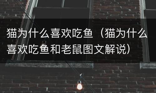 猫为什么喜欢吃鱼（猫为什么喜欢吃鱼和老鼠图文解说）