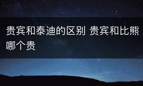 贵宾和泰迪的区别 贵宾和比熊哪个贵