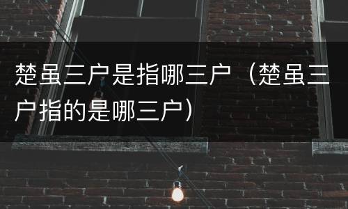 楚虽三户是指哪三户（楚虽三户指的是哪三户）