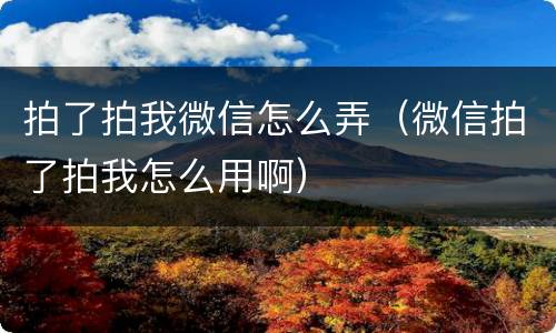 拍了拍我微信怎么弄（微信拍了拍我怎么用啊）